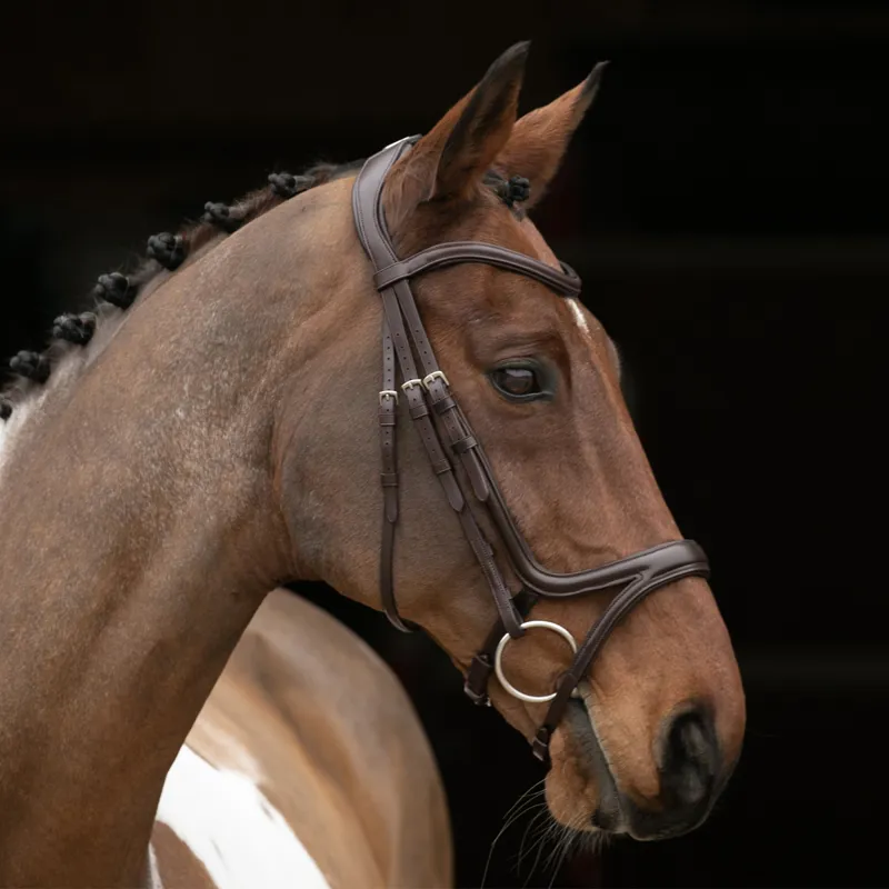 Shires Velociti Rapida Comfort Flash Bridle - Havana